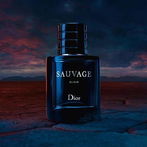 smell of dior sauvage|dior sauvage unisex.